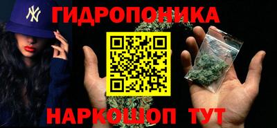 mdpv Кингисепп
