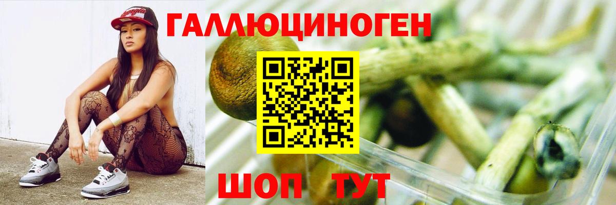 Псилоцибиновые грибы MAGIC MUSHROOMS  Вход с VPN  закладка  Галлюциногенные грибы Magic Shrooms  Арзамас 
